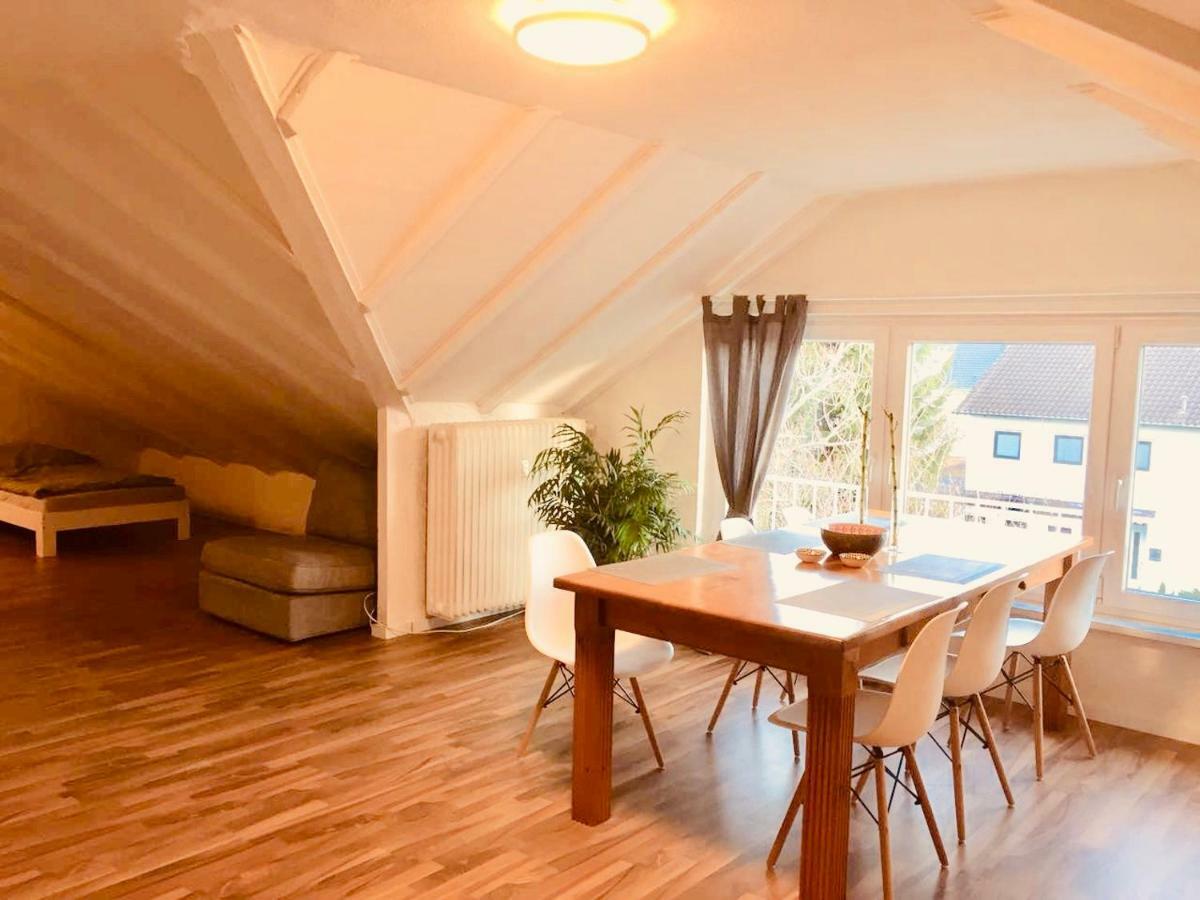 Grosse Dachgeschosswohnung Mit Kueche Und Badezimmer An Der Uniklinik Homburg 洪堡 外观 照片