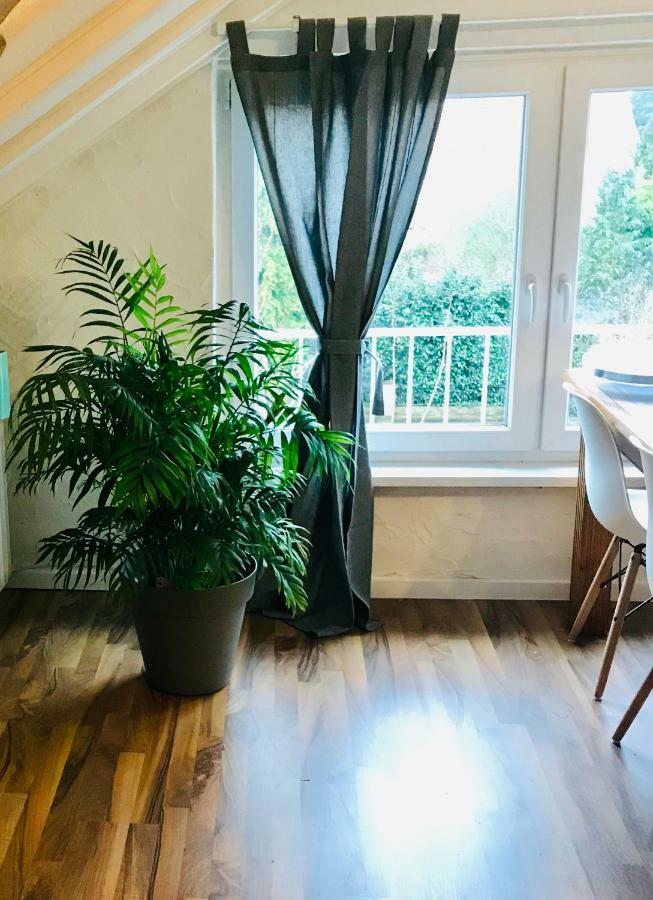 Grosse Dachgeschosswohnung Mit Kueche Und Badezimmer An Der Uniklinik Homburg 洪堡 外观 照片
